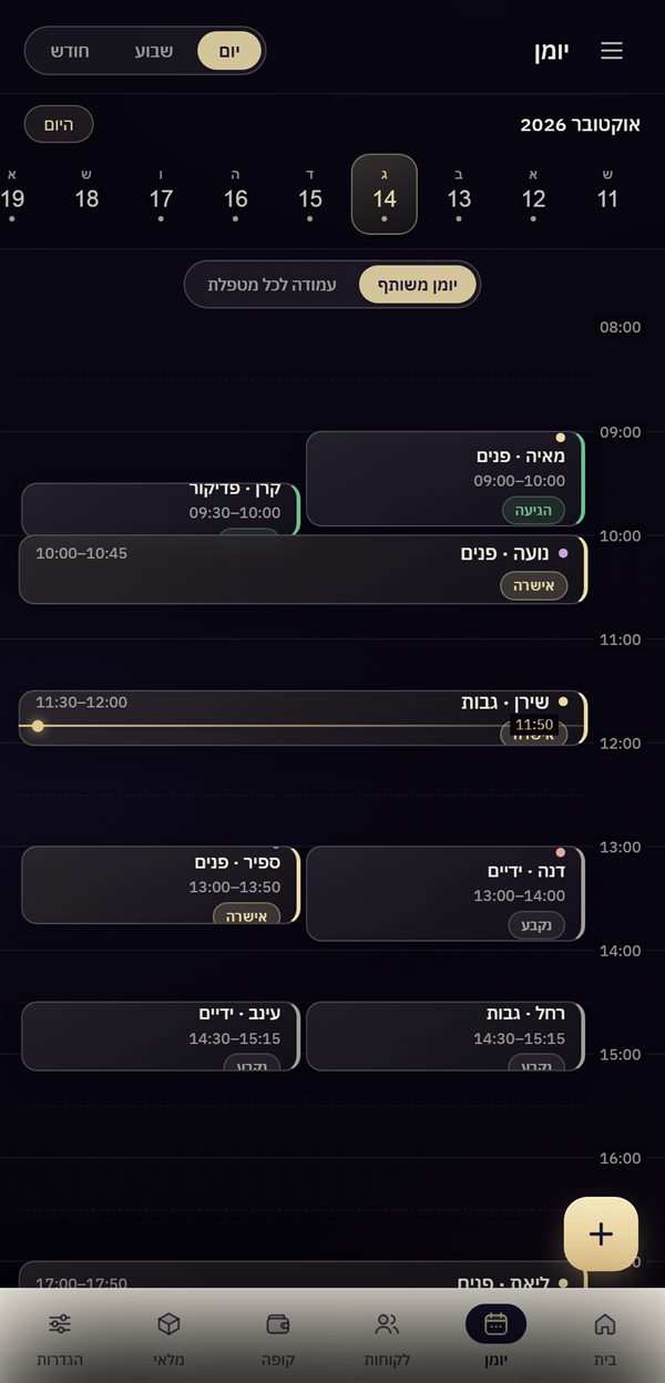 היומן בתצוגת יום